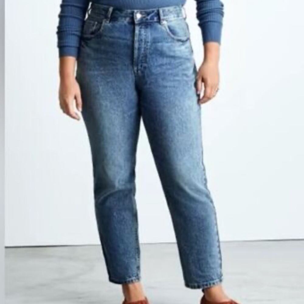 Everlane Curvy ‘90s Cheeky Straight Jeans in Medium Wash Northridge 26 Regular